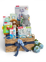 Baby boy basket gift